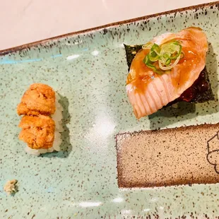 Sea Urchin
