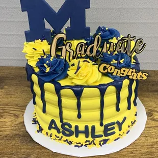 6&quot; U of M grad cake