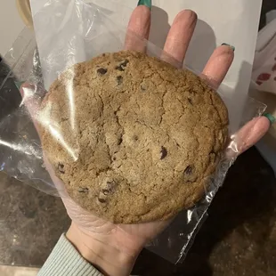 Big chocolate chip cookie!