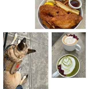 Fish and chips, lattes, and dog-friendly!