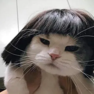 B C.