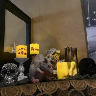 More Halloween decorations