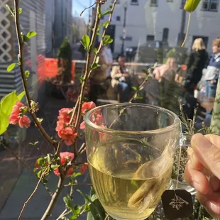 oysters and mussels, drink