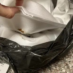 couldn't even open the box because of how melted it was, just ridiculous