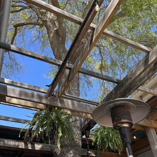 Outdoor area