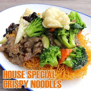 noodle soup, food, noodles, noodle dish, ramen and noodles, ramen