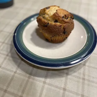 Chocolate Chip Muffin