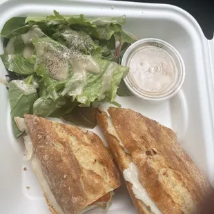 Turkey and Swiss panini