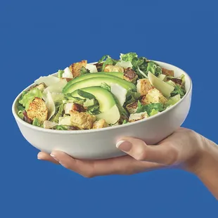 salad, food, salads