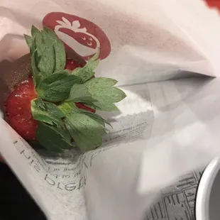 Chocolate Covered Strawberry