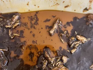 The Hall Coffee House