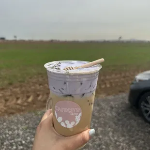 La abejita mi favorito