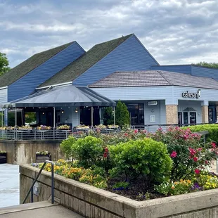 Outside of Cafesano in S Lakes Shopping Ctr - looked absolutely dead - I even wondered if it was open (at 6P on a Wed) - bad sign :(