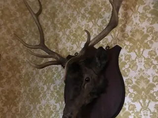 Alexander Ramsey House