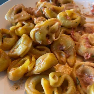 pasta, pasta dish, food