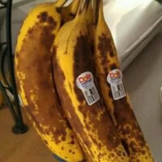 Susu I.