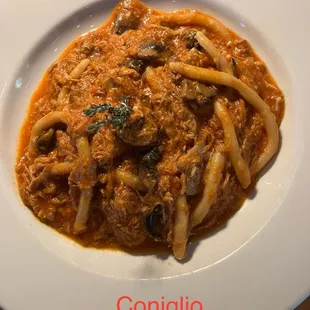 Coniglio