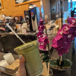 iced oat milk matcha latte