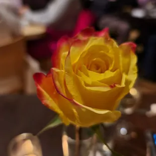 Good taste in roses.