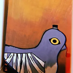 Pigeon gentleman