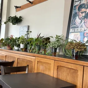 This wall is full of greenery