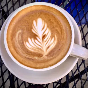 Great cappuccinos