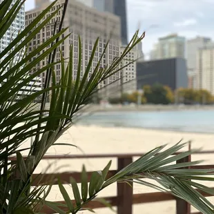 a view of a beach with a city in the background