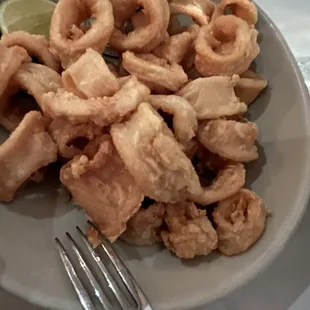 Fried Calamari