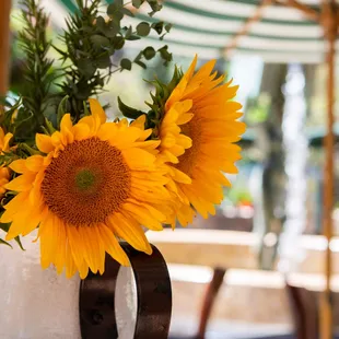 a perfect sunny piazza!