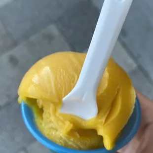 Mango Gelatooooo. It was gone in 30 seconds