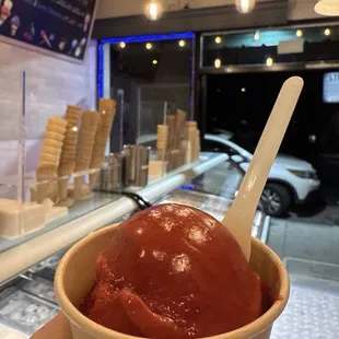 Raspberry Sorbet (vegan)