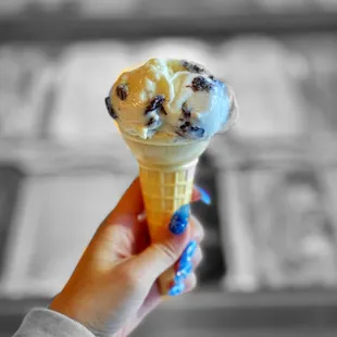 Rum Raisin
