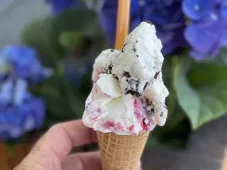SF Gelateria