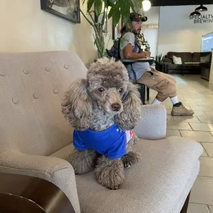 Paris favorite coffee shop