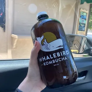 Refill for kombucha