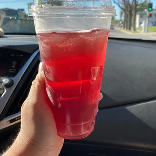 Jasmine Bliss Kombucha (24oz)