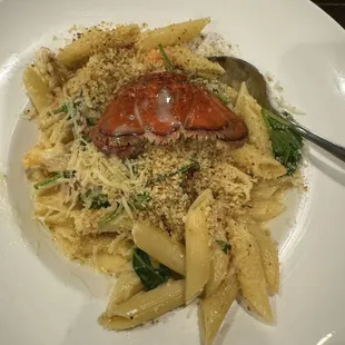 Lobster Pasta