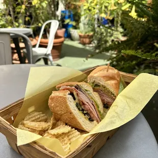 New Yorker in the patio