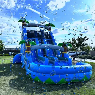 Palm Tree Dual Lane Wet Slide