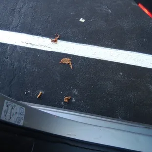 SOME of the fat in my Philly