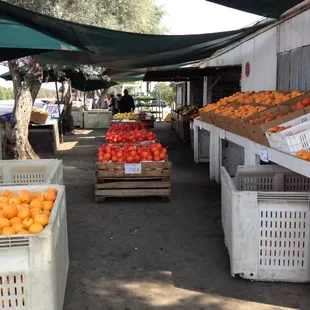 a variety of fruits and vegetables