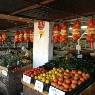 a variety of fruits and vegetables