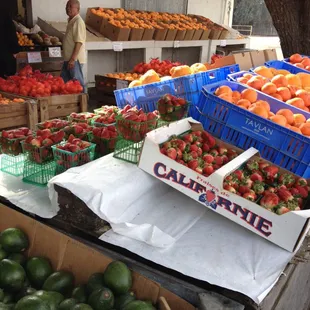 a variety of fruits and vegetables
