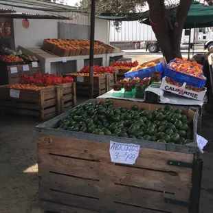 a variety of fruits and vegetables