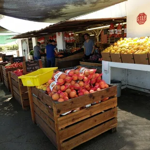 Fresh and reasonably priced produce!!