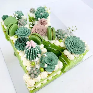 a cake made to look like a cactus