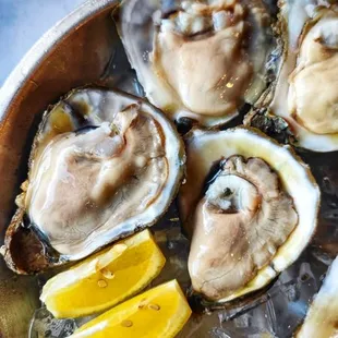 Raw Oysters