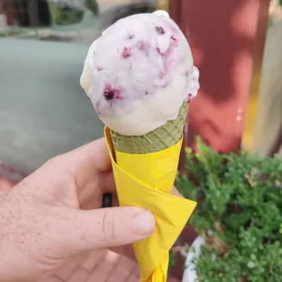 Blueberry Cheesecake on a Matcha Cone