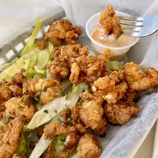 Gator  bits