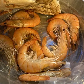 Jumbo Shrimp Head Off/On